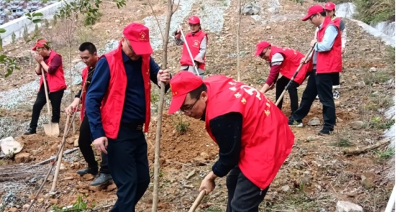 村企共建，共植先鋒林