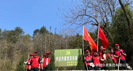 黨建強(qiáng)引領(lǐng)，共植先鋒林