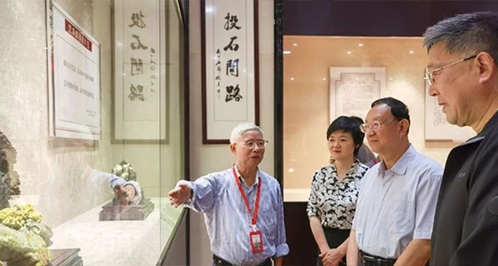 全國人大教科文衛(wèi)委員會主任委員雒樹剛率調研組參觀安特·倪東方藝術博物館